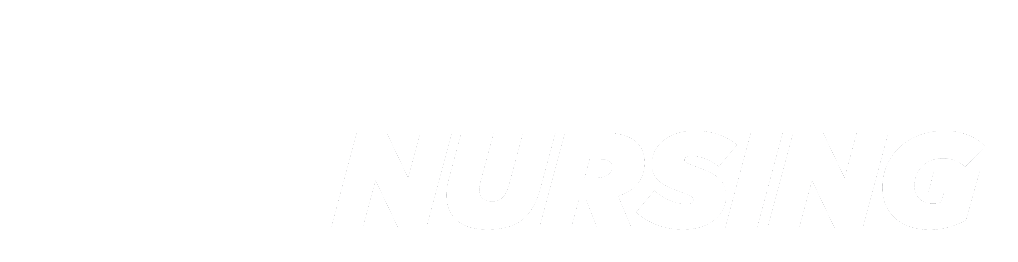 WritemyNursing logo